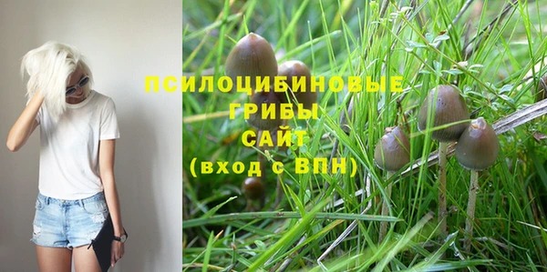 стафф Армянск