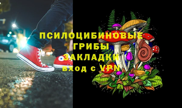 spice Гусь-Хрустальный