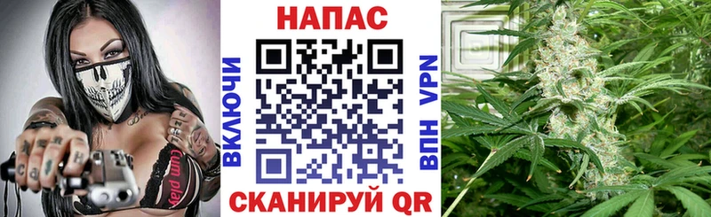 Бошки марихуана тримм  сколько стоит  Нефтекумск 